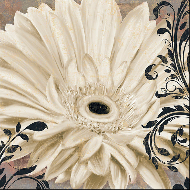 COLBAK114833 Gerbera Blanc , available in multiple sizes - Chamton