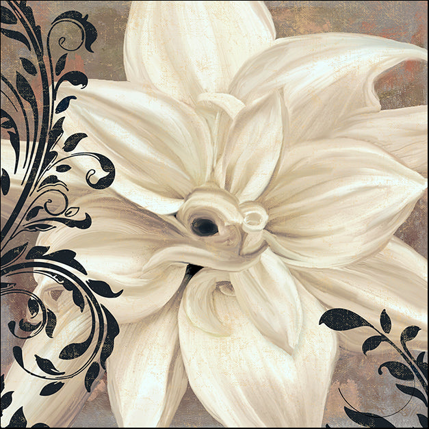 COLBAK114834 Winter White II, by Color Bakery, available in multiple sizes