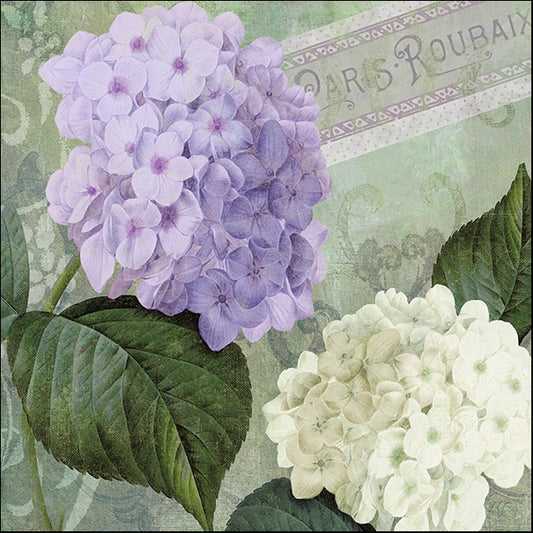 COLBAK115221 Hortensia 1, by Color Bakery, available in multiple sizes