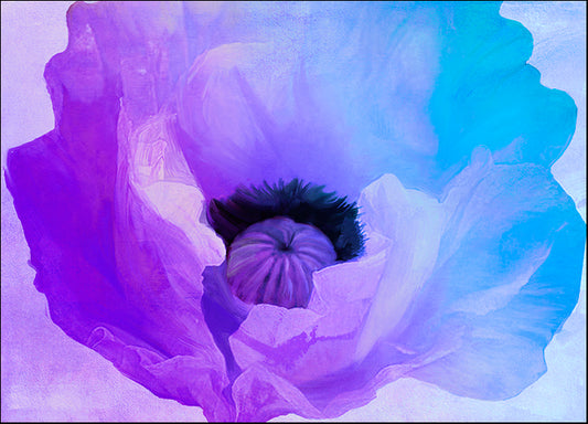 COLBAK116048 Poppy Gradient IV, by Color Bakery, available in multiple sizes