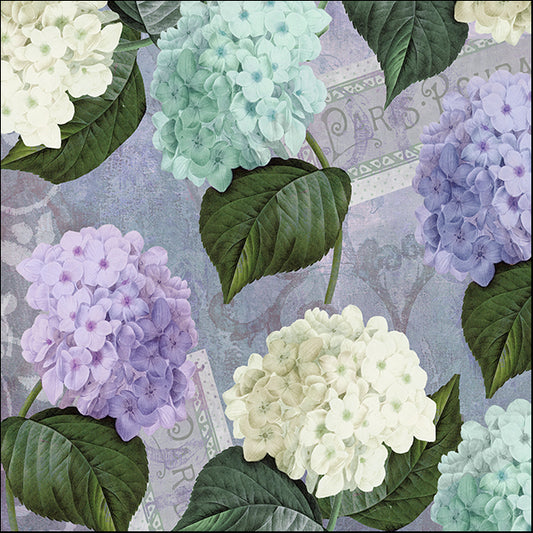 COLBAK116051 Hortensia Lavenders, by Color Bakery, available in multiple sizes