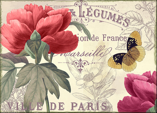 COLBAK116076 Petals of Paris V, by Color Bakery, available in multiple sizes