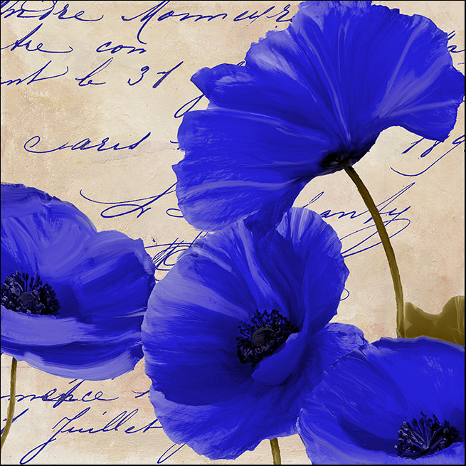 COLBAK116160 Azure Poppies I , available in multiple sizes