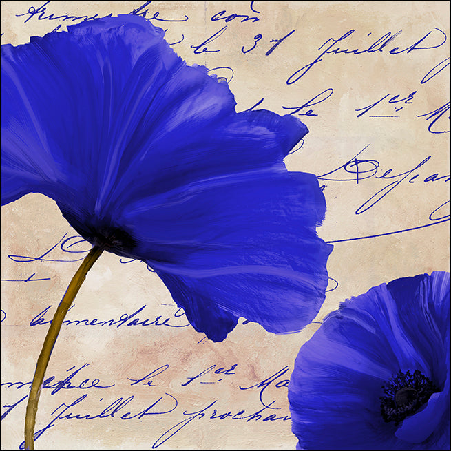 COLBAK116161 Azure Poppies II , available in multiple sizes