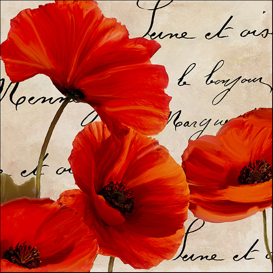 COLBAK116162 Wildfire Poppies I , available in multiple sizes