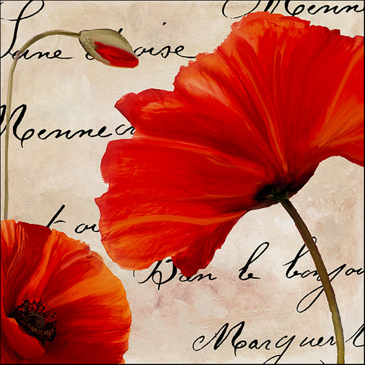 COLBAK116163 Wildfire Poppies II , available in multiple sizes