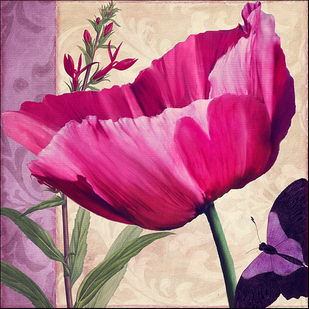 COLBAK117961 Pink Poppy I, by Color Bakery, available in multiple sizes