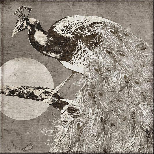 COLBAK118448 Moon Peacock, by Color Bakery, available in multiple sizes