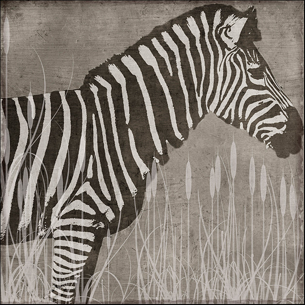 COLBAK118450 Zebra, by Color Bakery, available in multiple sizes