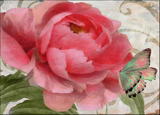COLBAK118455 Apricot Peonies II, by Color Bakery, available in multiple sizes