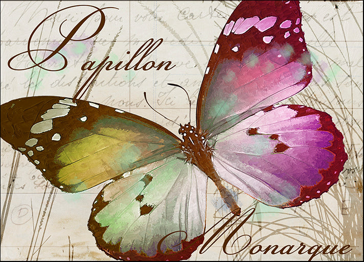 COLBAK118745 Papillon II, by Color Bakery, available in multiple sizes