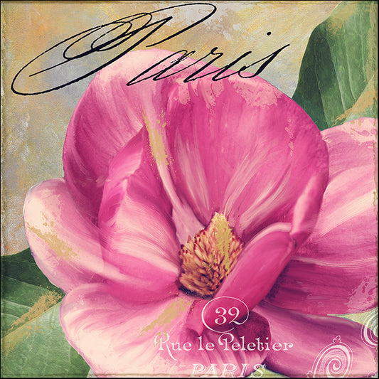 COLBAK119054 Pink Magnolia I, by Color Bakery, available in multiple sizes