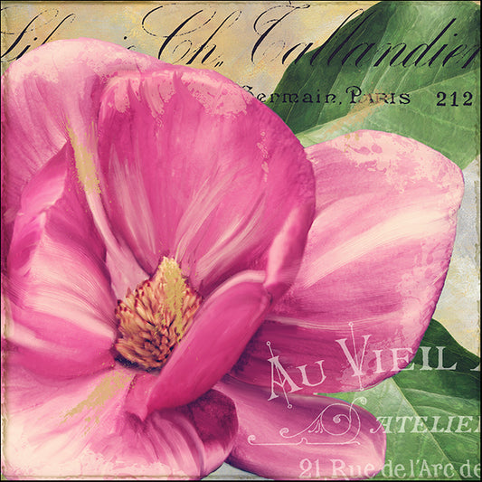 COLBAK119055 Pink Magnolia II, by Color Bakery, available in multiple sizes