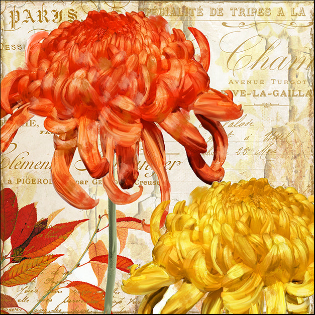 COLBAK119617 Chrysanthemes I, by Color Bakery, available in multiple sizes