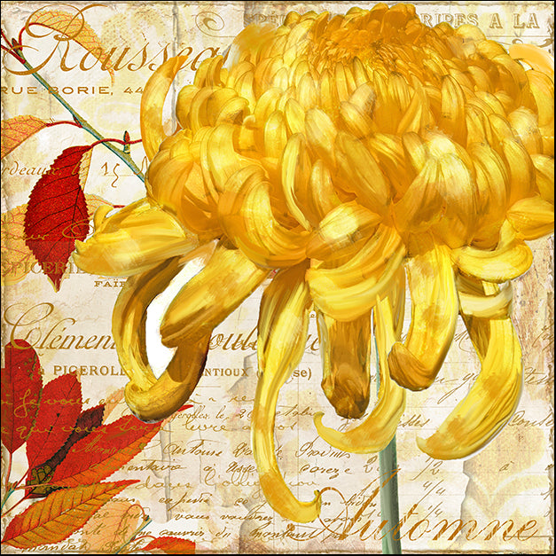 COLBAK119618 Chrysanthemes II, by Color Bakery, available in multiple sizes
