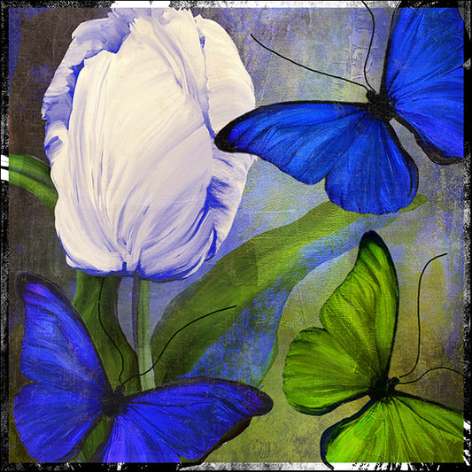 COLBAK125505 Morphos One, by Color Bakery, available in multiple sizes