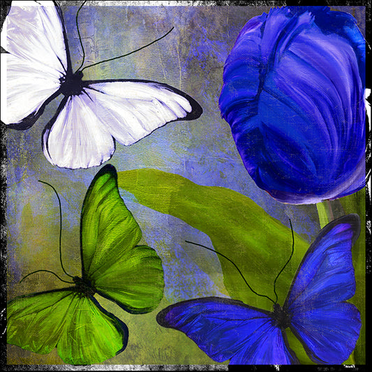 COLBAK125506 Morphos Two, by Color Bakery, available in multiple sizes