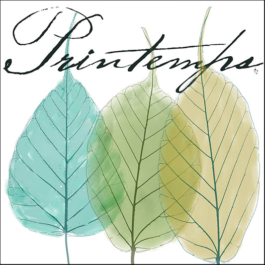 COLBAK125770 Seasons I, by Color Bakery, available in multiple sizes