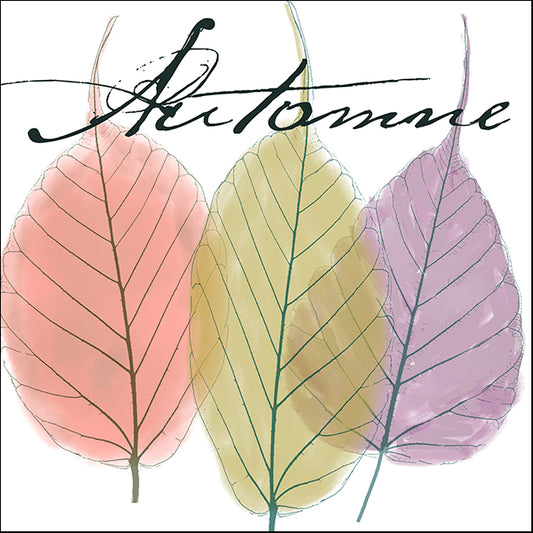 COLBAK125771 Seasons II, by Color Bakery, available in multiple sizes