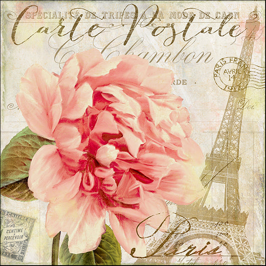 COLBAK126817 Bonjour One, by Color Bakery, available in multiple sizes