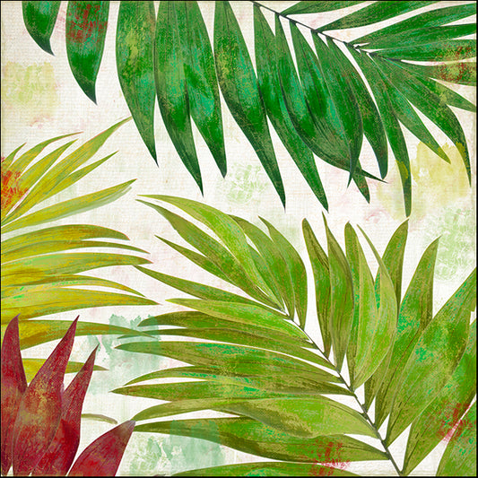 COLBAK127101 Brasilia I, by Color Bakery, available in multiple sizes