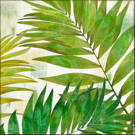 COLBAK127102 Brasilia II, by Color Bakery, available in multiple sizes