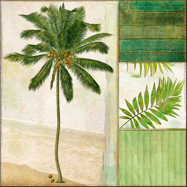 COLBAK127104 Paradise II, by Color Bakery, available in multiple sizes