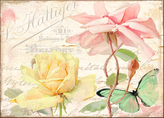 COLBAK129557 Florabella IV, by Color Bakery, available in multiple sizes