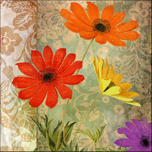 COLBAK132705 Fiesta I, by Color Bakery, available in multiple sizes