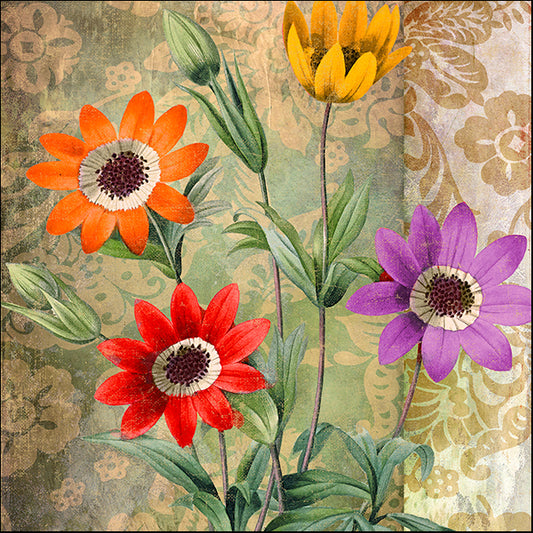 COLBAK132706 Fiesta II, by Color Bakery, available in multiple sizes