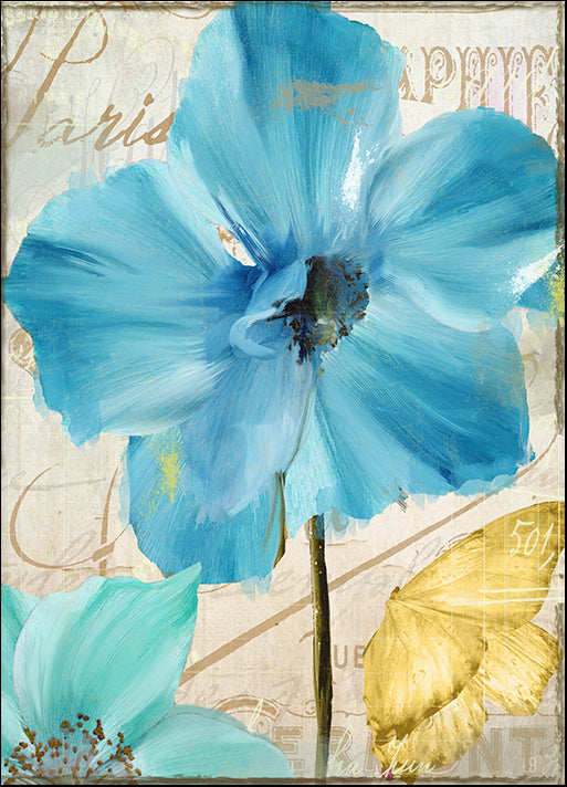 COLBAK135891 Blue Mountain Poppy, by Color Bakery, available in multiple sizes