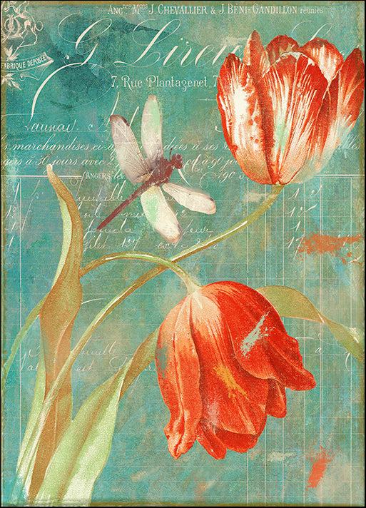 COLBAK135893 Mandarin Tulips, by Color Bakery, available in multiple sizes