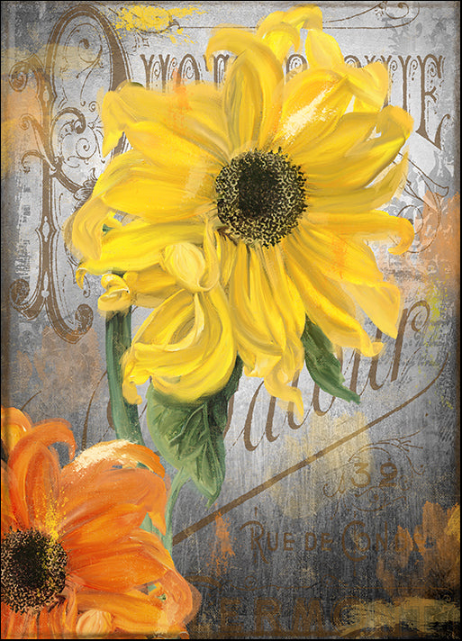 COLBAK135897 Sunflower Studio, by Color Bakery, available in multiple sizes