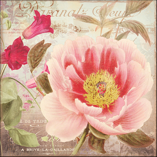COLBAK136076 Aphrodite I, by Color Bakery, available in multiple sizes - Chamton