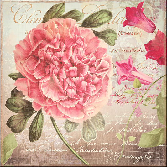 COLBAK136077 Aphrodite II, by Color Bakery, available in multiple sizes