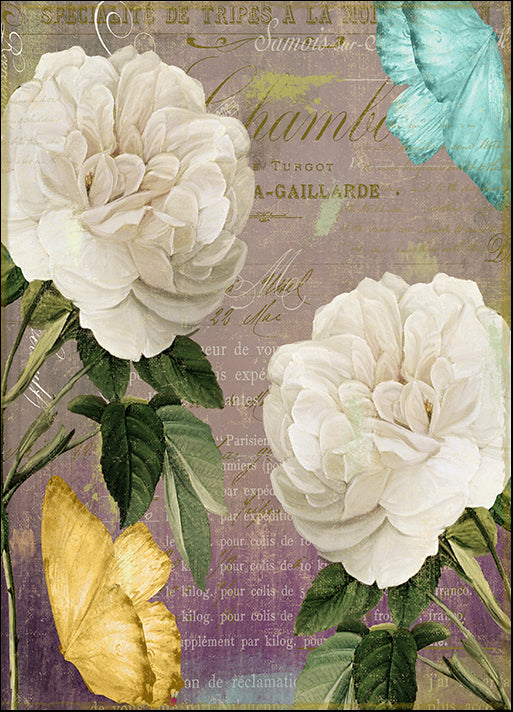 COLBAK136322 White Roses, by Color Bakery, available in multiple sizes