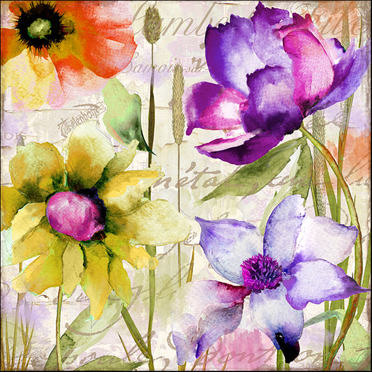 COLBAK136588 Afterglow II, by Color Bakery, available in multiple sizes
