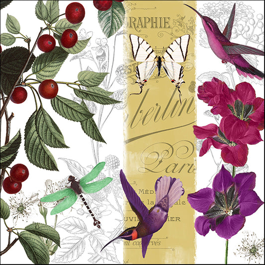 COLBAK137913 Cherry Picked II, by Color Bakery, available in multiple sizes