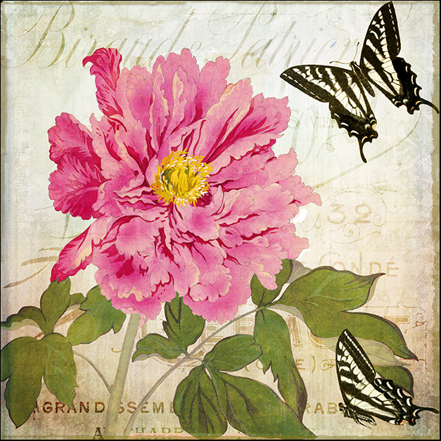 COLBAK137919 Aja, by Color Bakery, available in multiple sizes