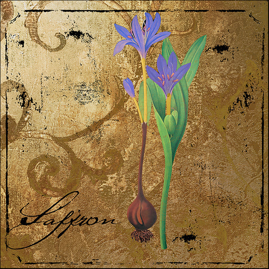 COLBAK138152 Black Gold Herbs II, by Color Bakery, available in multiple sizes