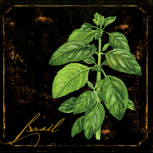 COLBAK138154 Black Gold Herbs IV, by Color Bakery, available in multiple sizes - Chamton