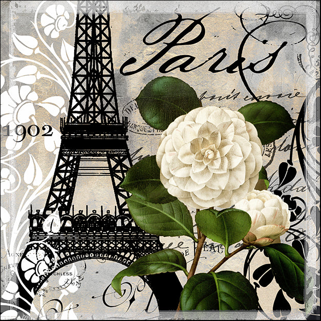 COLBAK138373 Paris Blanc I, by Color Bakery, available in multiple sizes