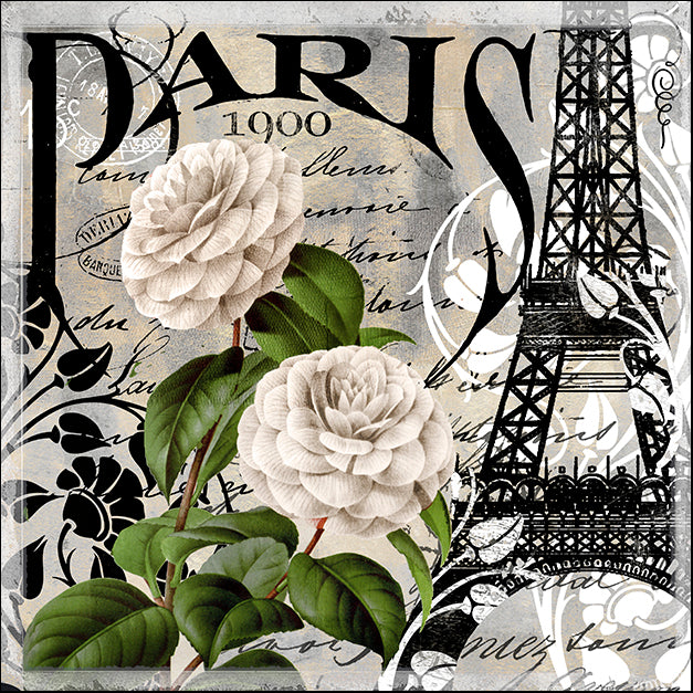 COLBAK138374 Paris Blanc II, by Color Bakery, available in multiple sizes