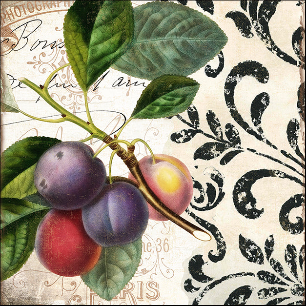 COLBAK138679 Les Fruits Jardin III, by Color Bakery, available in multiple sizes