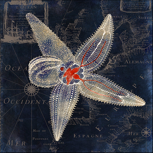 COLBAK139511 Maritime Blues IV, by Color Bakery, available in multiple sizes