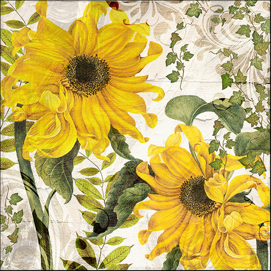COLBAK140418 Carina I, by Color Bakery, available in multiple sizes