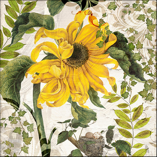 COLBAK140419 Carina II, by Color Bakery, available in multiple sizes