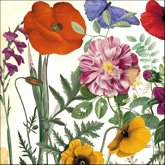 COLBAK141495 Printemps II, by Color Bakery, available in multiple sizes