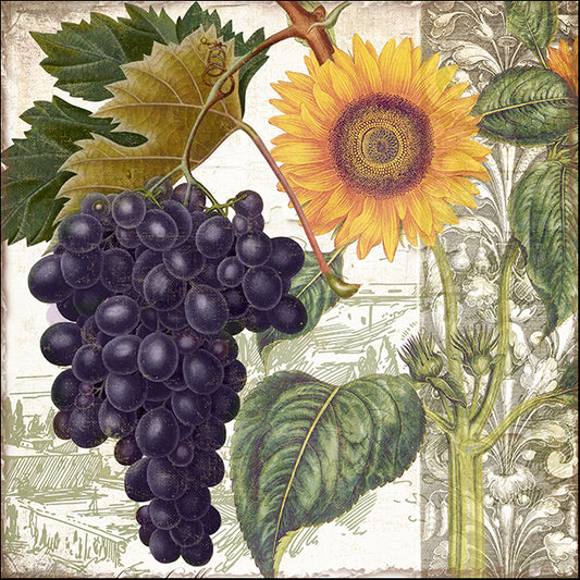 COLBAK141963 Dolcetto I, by Color Bakery, available in multiple sizes