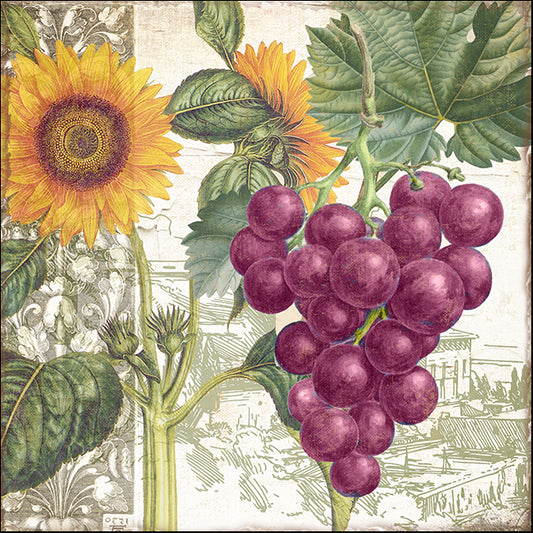 COLBAK141964 Dolcetto II, by Color Bakery, available in multiple sizes